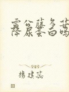 雷公藤多苷片能降尿蛋白吗