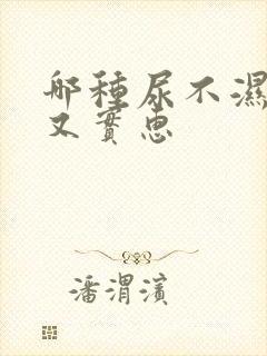 哪种尿不湿好用又实惠