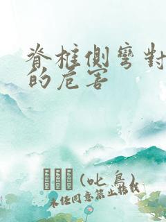 脊椎侧弯对健康的危害