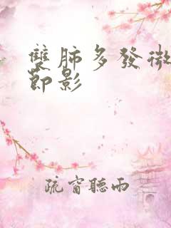 双肺多发微小结节影