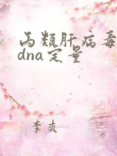 丙类肝病毒核酸dna定量