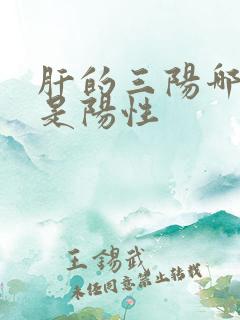 肝的三阳哪几项是阳性