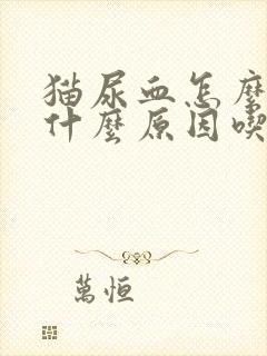 猫尿血怎么办是什么原因吃什么药比较好