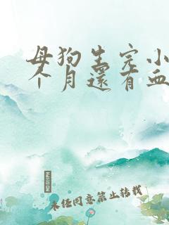 母狗生完小狗一个月还有血怎么回事