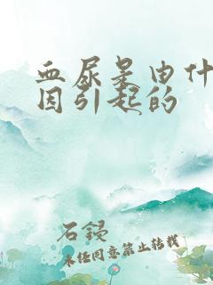 血尿是由什么原因引起的