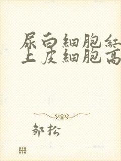 尿白细胞红细胞上皮细胞高