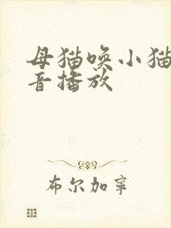 母猫唤小猫的声音播放