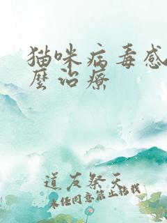 猫咪病毒感染怎么治疗