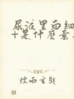 尿液里白细胞1+是什么意思