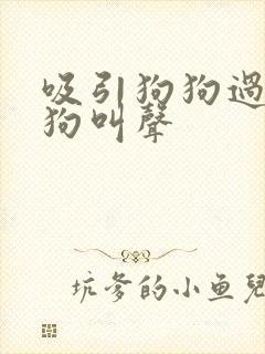 吸引狗狗过来的狗叫声