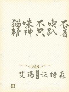 猫咪不吃不喝没精神只趴着呼吸急促