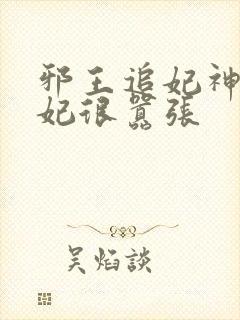 邪王追妃神医狂妃很嚣张