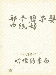 哪个牌子婴儿湿巾纸好