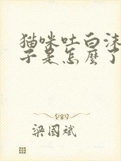 猫咪吐白沫黄水子是怎么了