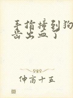 手指撞到狗狗牙齿出血了