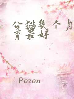 公猫几个月做绝育最好