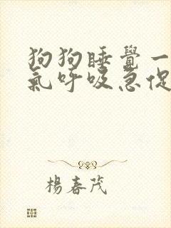 狗狗睡觉一直喘气呼吸急促