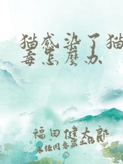 猫感染了猫瘟病毒怎么办