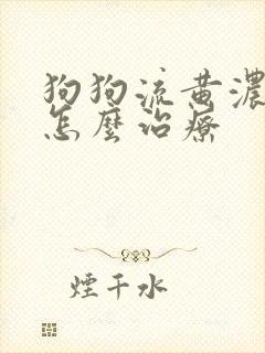 狗狗流黄浓鼻涕怎么治疗