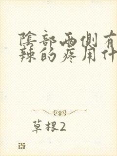 阴部两侧有火辣辣的疼用什么药好