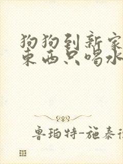 狗狗到新家不吃东西只喝水还呕吐