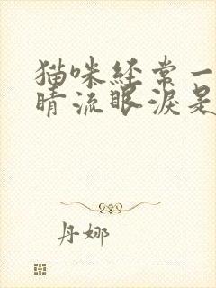 猫咪经常一只眼睛流眼泪是怎么回事