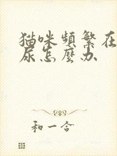 猫咪频繁在床上尿怎么办