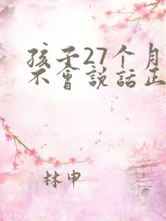 孩子27个月还不会说话正常吗