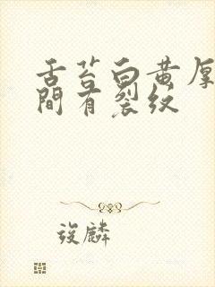 舌苔白黄厚腻中间有裂纹