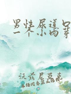 男性尿道口长了一个小肉芽