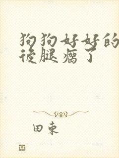 狗狗好好的突然后腿瘸了
