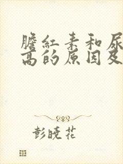 胆红素和尿酸偏高的原因及危害