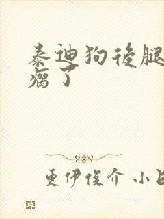 泰迪狗后腿突然瘸了