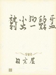 被小狗的牙齿刮到出一点血要紧吗