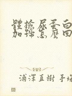 体检尿蛋白3个加号怎么回事