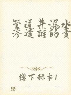 管道井漏水把墙渗透谁的责任