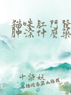 猫咪肛门发炎红肿涂什么药膏