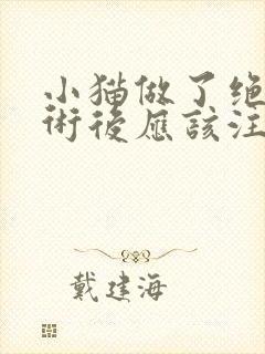 小猫做了绝育手术后应该注意什么