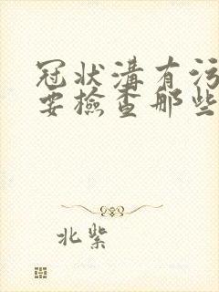 冠状沟有污垢需要检查那些