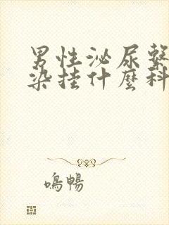 男性泌尿系统感染挂什么科?