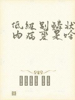 低级别鳞状上皮内病变是啥意思