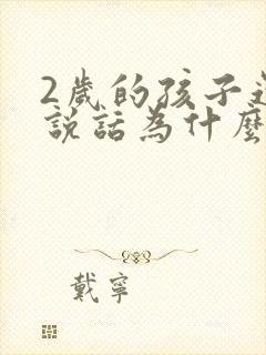 2岁的孩子还不说话为什么