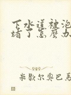 下水道被泡沫胶堵了怎么办