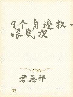 9个月边牧一天喂几次