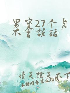 男宝27个月还不会说话