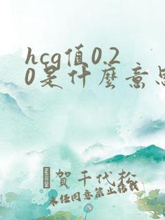 hcg值0.20是什么意思啊