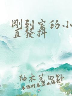 刚到家的小狗一直发抖