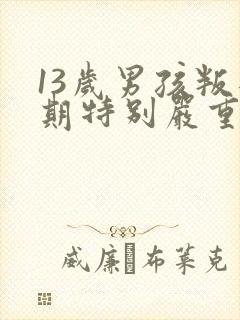 13岁男孩叛逆期特别严重怎么办