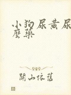 小狗尿黄尿吃什么药