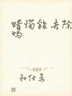 蜡烛能去除异味吗